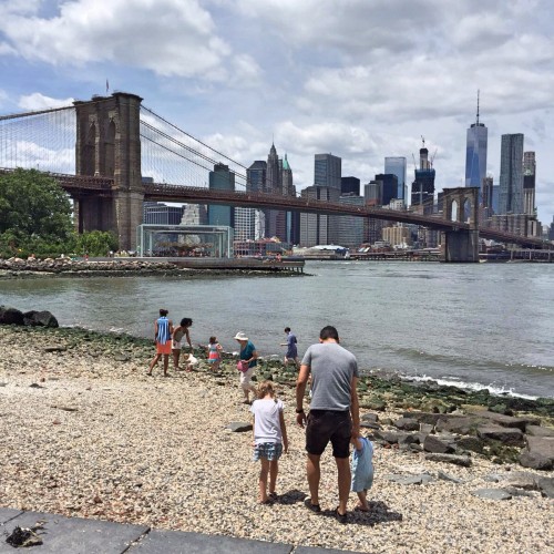 BrooklynPause