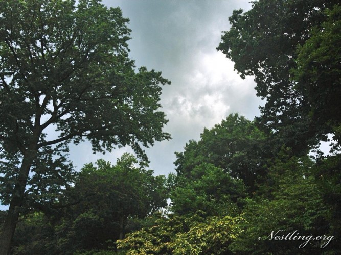 graue-wolken