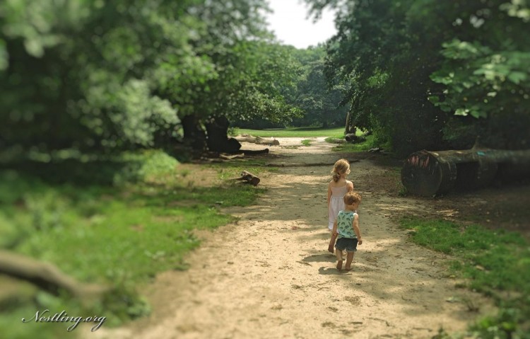 Exploration