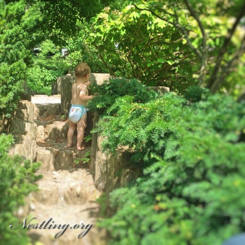 Bill-johnson-Playground