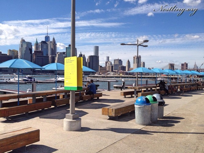 Brooklyn-bridge-park