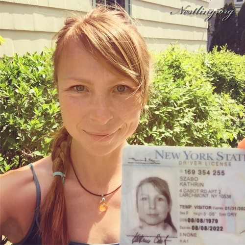 New-York-drivers-license