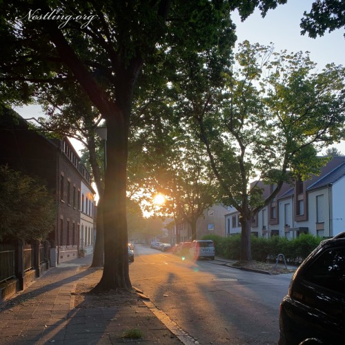 Krefeld