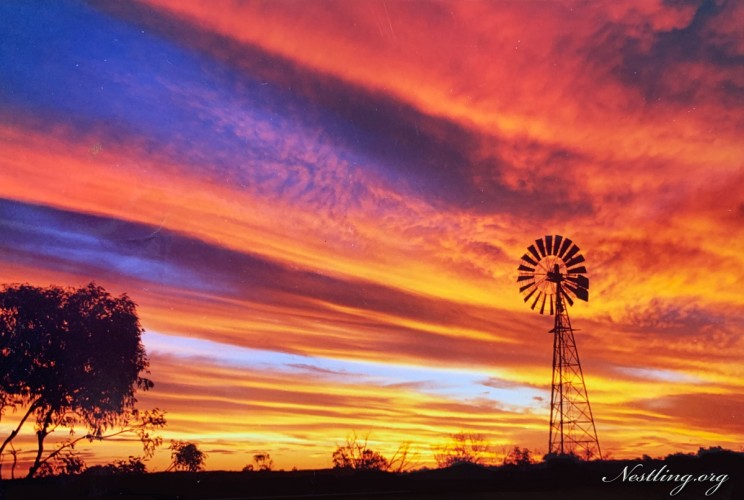 Australien-Outback