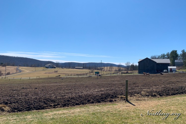 Leben-ins-Pennsylvania