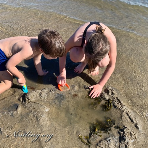 Strandtag